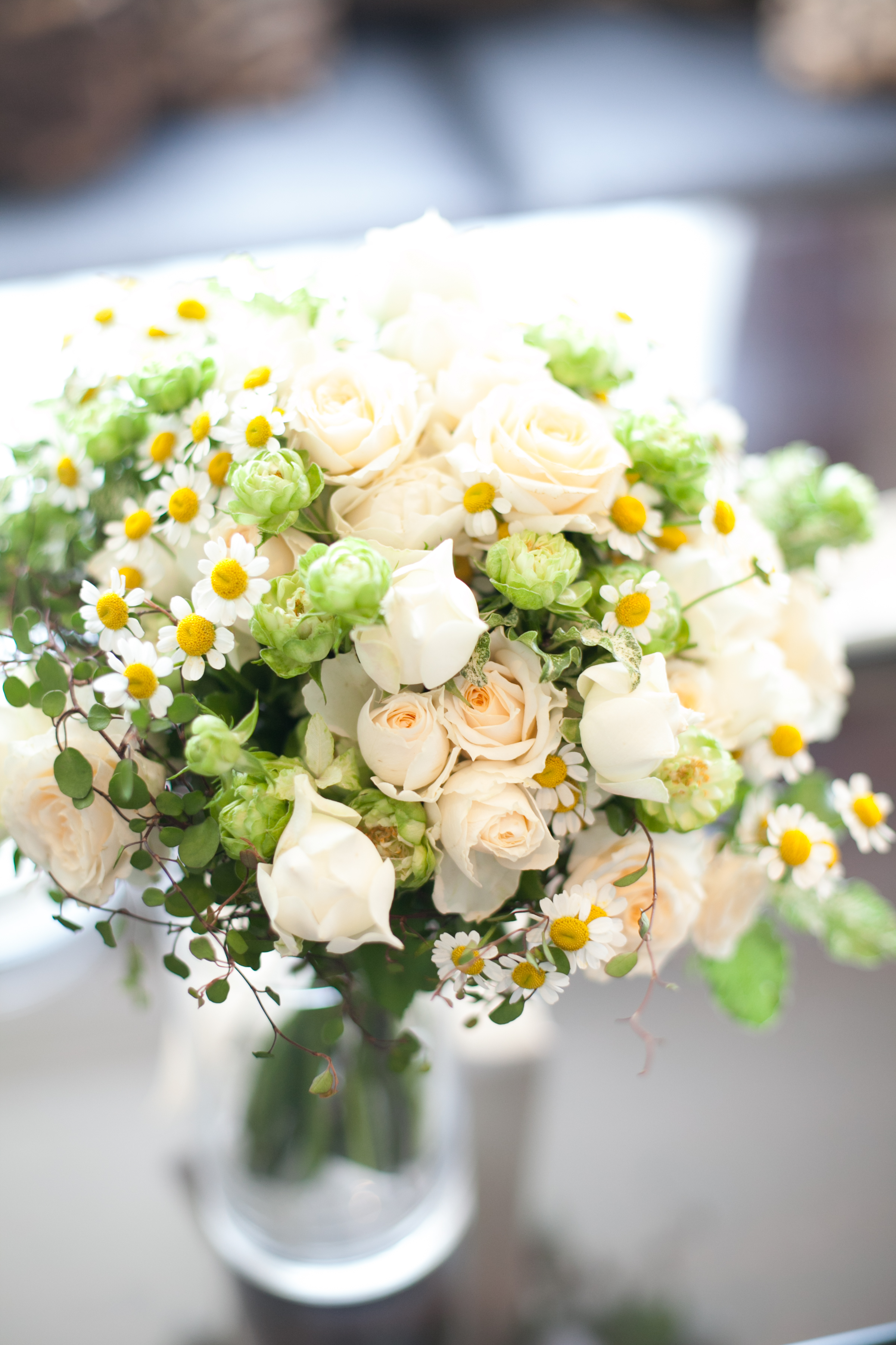 アクアクレール コンサート