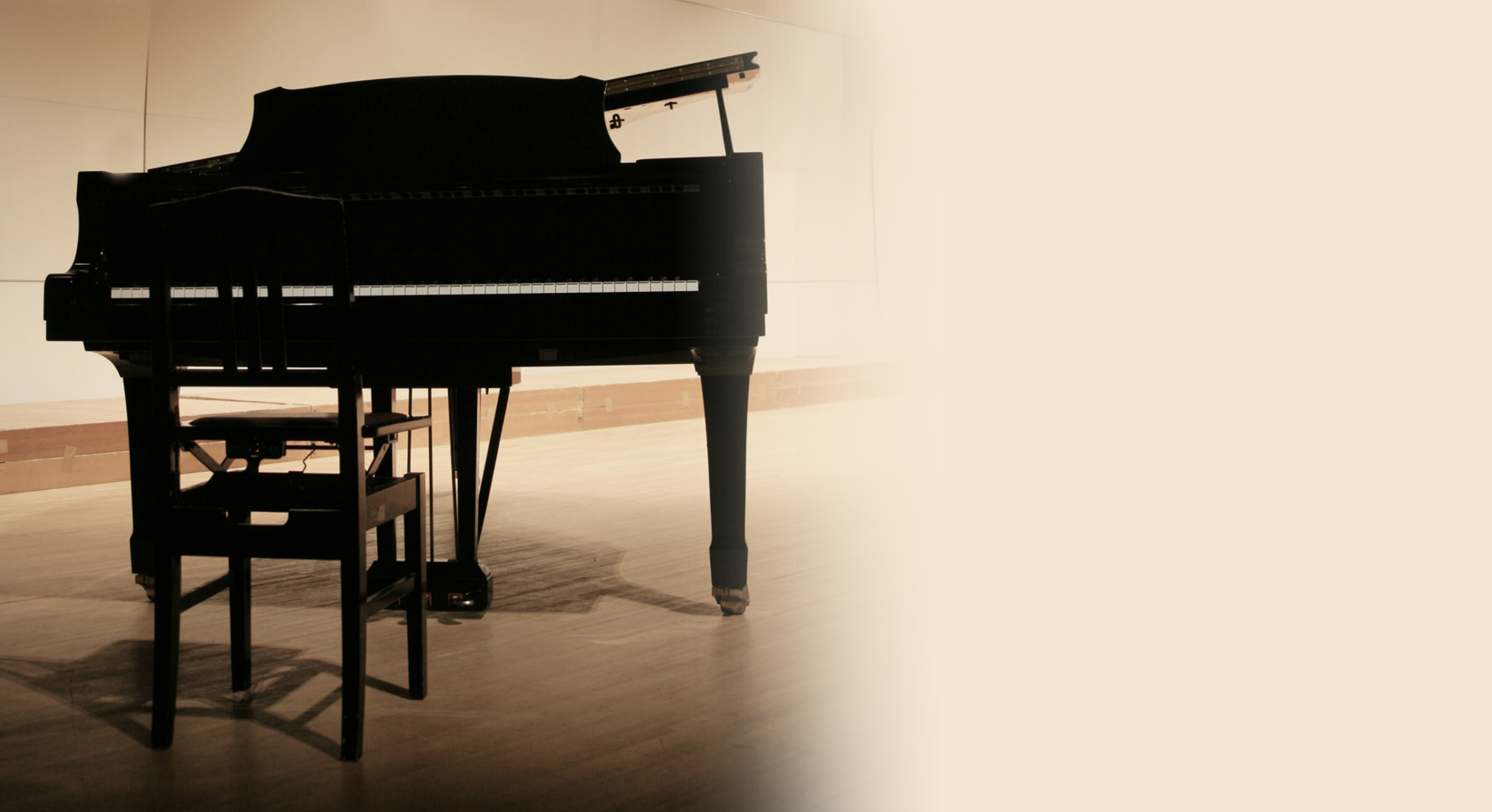 ベヒシュタインを聴く　ピアノコンサート～大阪～